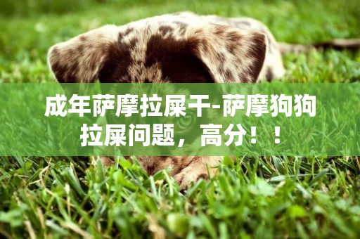 成年薩摩拉屎干-薩摩狗狗拉屎問題，高分！！
