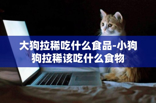 大狗拉稀吃什么食品-小狗狗拉稀該吃什么食物