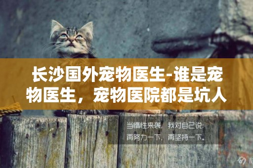長沙國外寵物醫生-誰是寵物醫生，寵物醫院都是坑人的