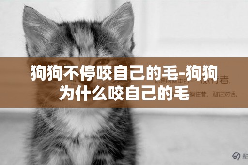 狗狗不停咬自己的毛-狗狗為什么咬自己的毛