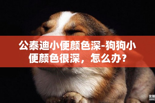 公泰迪小便顏色深-狗狗小便顏色很深，怎么辦？