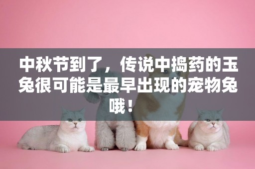 中秋節到了，傳說中搗藥的玉兔很可能是最早出現的寵物兔哦！ 