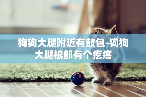 狗狗大腿附近有鼓包-狗狗大腿根部有個疙瘩