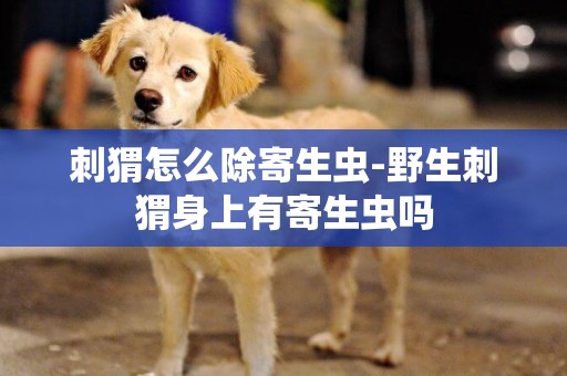 刺猬怎么除寄生蟲-野生刺猬身上有寄生蟲嗎