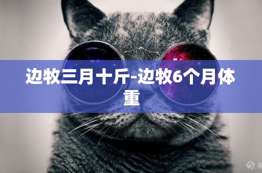 邊牧三月十斤-邊牧6個月體重