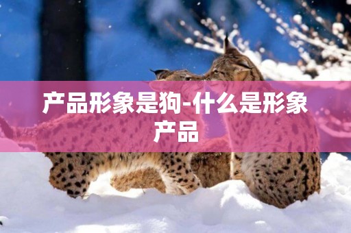 產品形象是狗-什么是形象產品