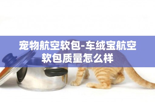寵物航空軟包-車絨寶航空軟包質量怎么樣