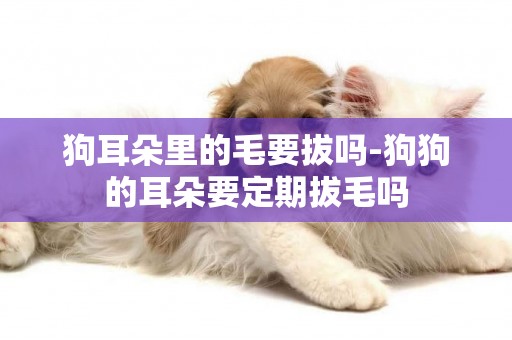 狗耳朵里的毛要拔嗎-狗狗的耳朵要定期拔毛嗎