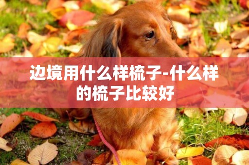 邊境用什么樣梳子-什么樣的梳子比較好