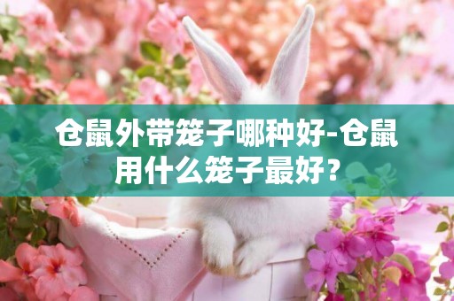 倉鼠外帶籠子哪種好-倉鼠用什么籠子最好？