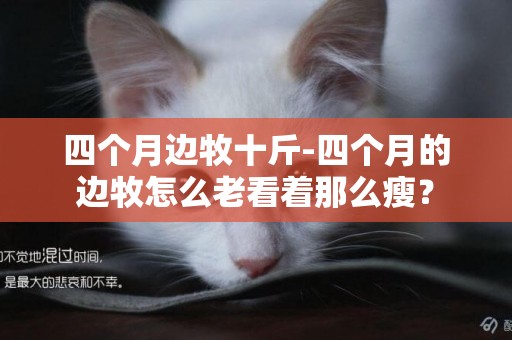 四個月邊牧十斤-四個月的邊牧怎么老看著那么瘦？