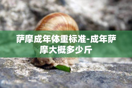 薩摩成年體重標準-成年薩摩大概多少斤