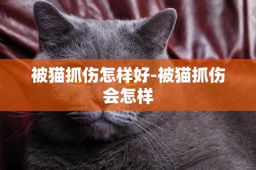 被貓抓傷怎樣好-被貓抓傷會怎樣