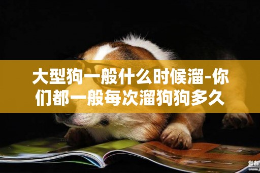 大型狗一般什么時候溜-你們都一般每次溜狗狗多久