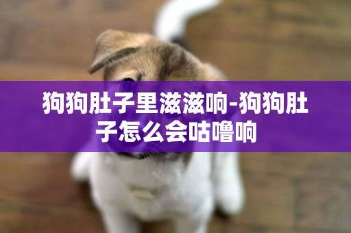 狗狗肚子里滋滋響-狗狗肚子怎么會咕嚕響
