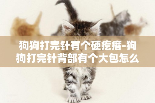狗狗打完針有個硬疙瘩-狗狗打完針背部有個大包怎么辦？