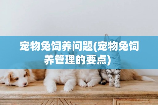 寵物兔飼養問題(寵物兔飼養管理的要點) 