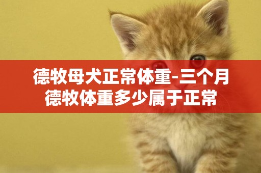 德牧母犬正常體重-三個月德牧體重多少屬于正常