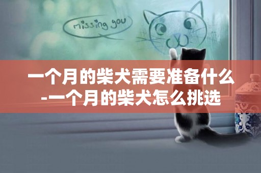 一個月的柴犬需要準備什么-一個月的柴犬怎么挑選