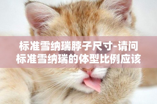 標準雪納瑞脖子尺寸-請問標準雪納瑞的體型比例應該是怎樣的
