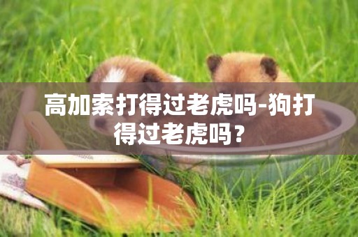 高加索打得過老虎嗎-狗打得過老虎嗎？