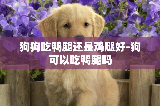 狗狗吃鴨腿還是雞腿好-狗可以吃鴨腿嗎