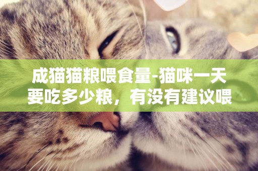成貓貓糧喂食量-貓咪一天要吃多少糧，有沒有建議喂食量
