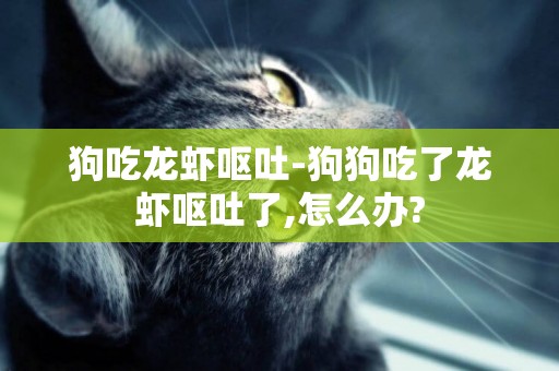 狗吃龍蝦嘔吐-狗狗吃了龍蝦嘔吐了,怎么辦?