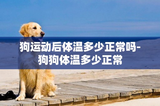 狗運動后體溫多少正常嗎-狗狗體溫多少正常