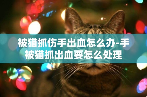 被貓抓傷手出血怎么辦-手被貓抓出血要怎么處理