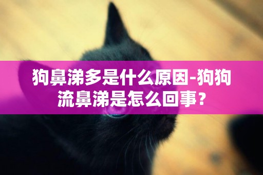 狗鼻涕多是什么原因-狗狗流鼻涕是怎么回事？