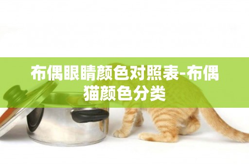 布偶眼睛顏色對照表-布偶貓顏色分類