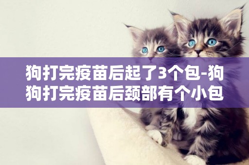 狗打完疫苗后起了3個包-狗狗打完疫苗后頸部有個小包