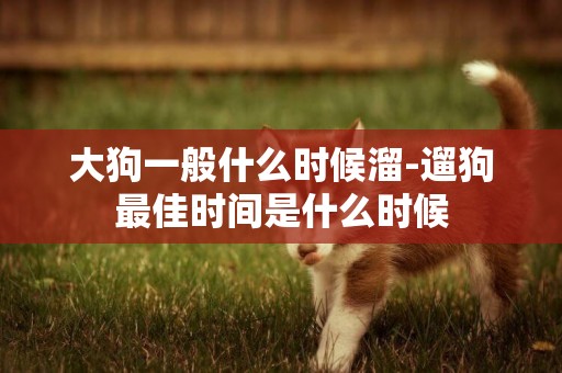 大狗一般什么時候溜-遛狗最佳時間是什么時候