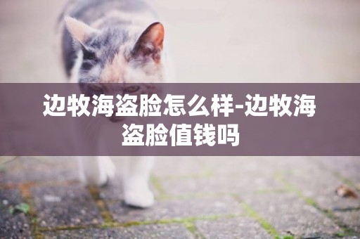 邊牧海盜臉怎么樣-邊牧海盜臉值錢嗎