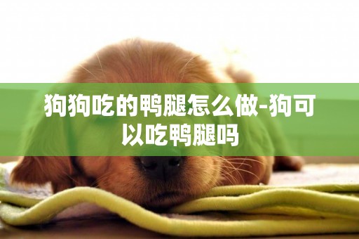 狗狗吃的鴨腿怎么做-狗可以吃鴨腿嗎