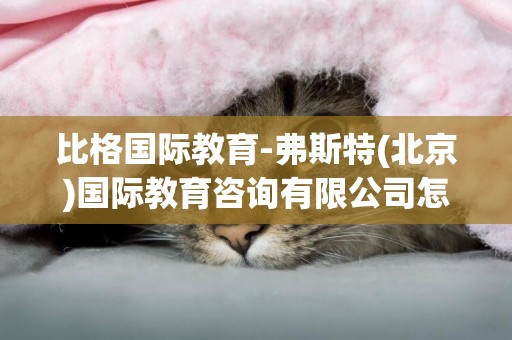 比格國際教育-弗斯特(北京)國際教育咨詢有限公司怎么樣？