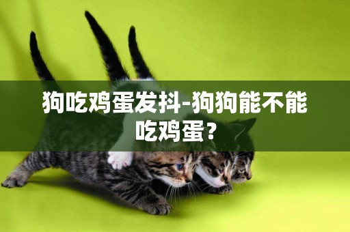 狗吃雞蛋發抖-狗狗能不能吃雞蛋？