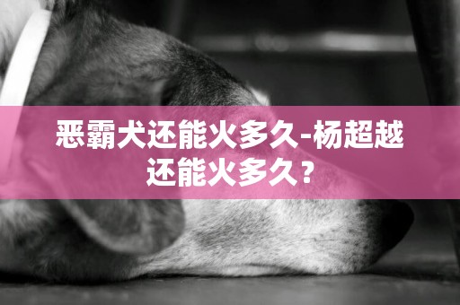惡霸犬還能火多久-楊超越還能火多久？