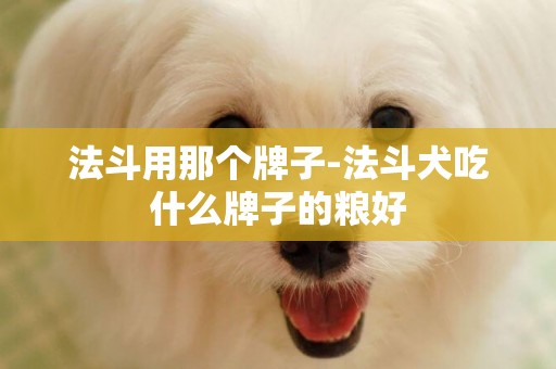 法斗用那個牌子-法斗犬吃什么牌子的糧好