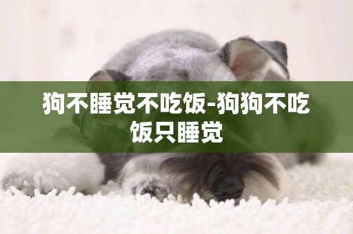 狗不睡覺不吃飯-狗狗不吃飯只睡覺