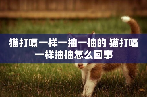 貓打嗝一樣一抽一抽的 貓打嗝一樣抽抽怎么回事