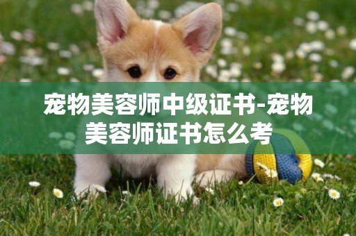 寵物美容師中級證書-寵物美容師證書怎么考