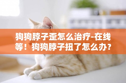 狗狗脖子歪怎么治療-在線等！狗狗脖子扭了怎么辦？
