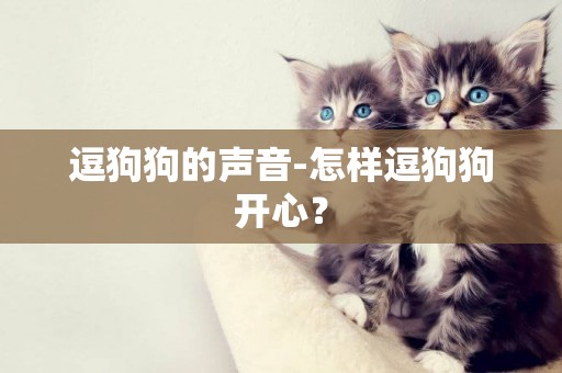 逗狗狗的聲音-怎樣逗狗狗開心？