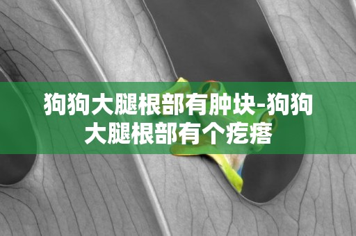 狗狗大腿根部有腫塊-狗狗大腿根部有個疙瘩