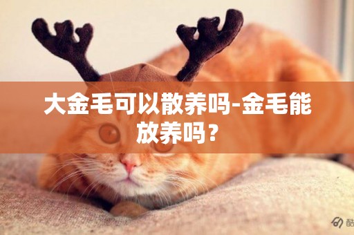 大金毛可以散養嗎-金毛能放養嗎？