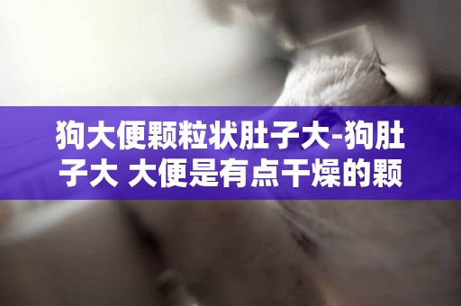 狗大便顆粒狀肚子大-狗肚子大 大便是有點干燥的顆粒