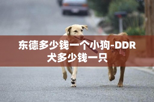 東德多少錢一個小狗-DDR犬多少錢一只