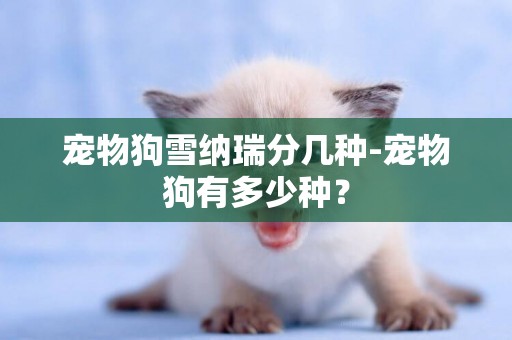 寵物狗雪納瑞分幾種-寵物狗有多少種？